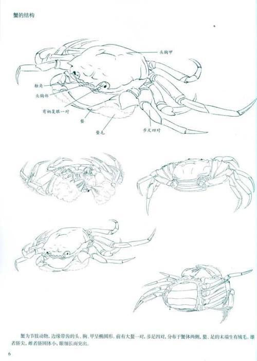 简笔画蟹虾成群