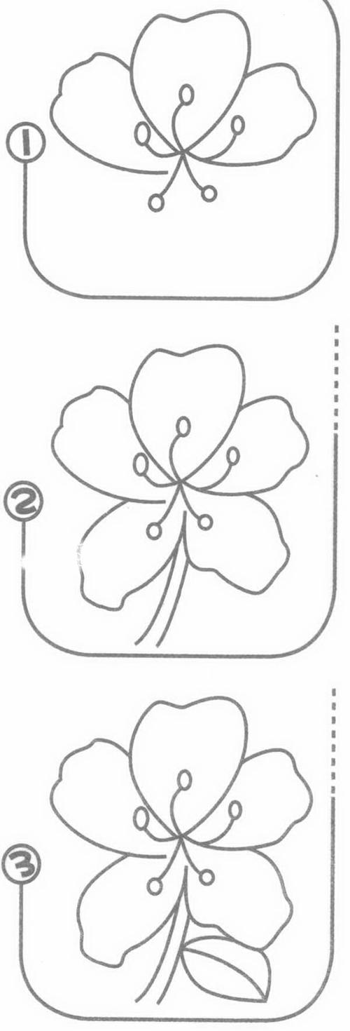 杜鹃花简笔画步骤图解教程