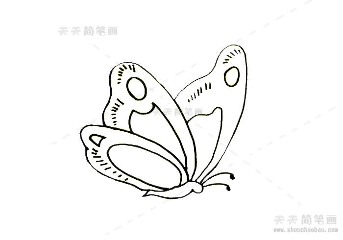 简笔画侧面蝴蝶简笔画黑色画一只美丽又漂亮的蝴蝶