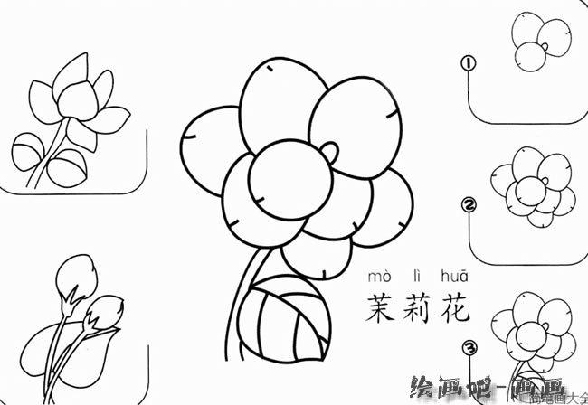 茉莉花怎么画简笔画步骤图解