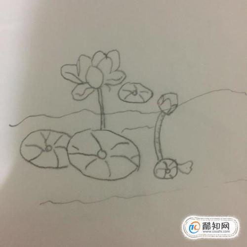 荷花池简笔画优质