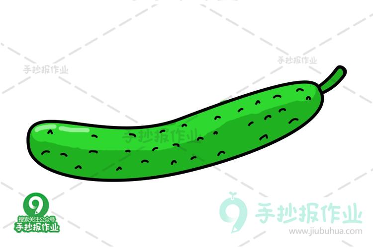 细条丝瓜简笔画