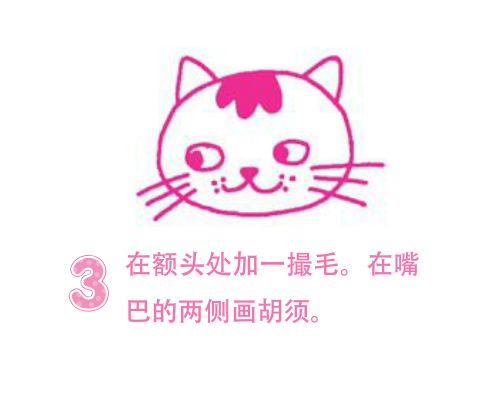 可爱的小猫头简笔画 3步画出猫头