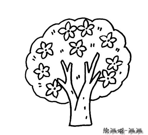 花树植物简笔画步骤图片大全