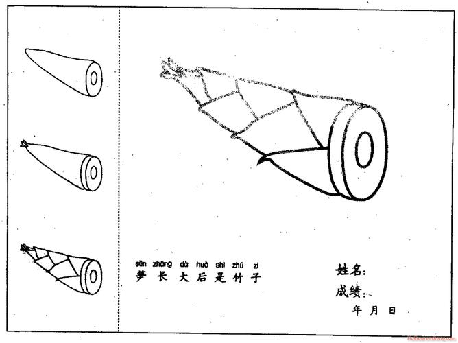 笋的画法简笔画步骤