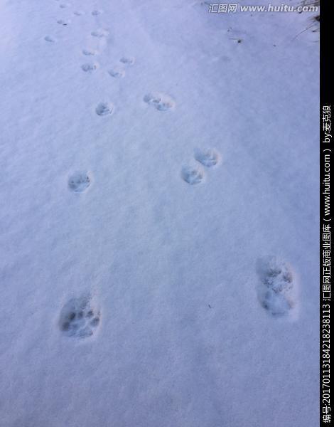 小猫在雪地里的脚印简笔画