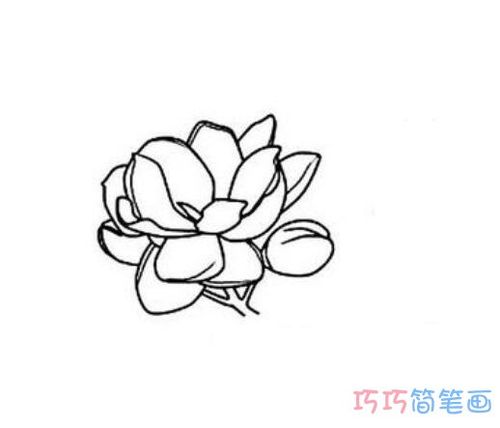 儿童卡通茉莉花的画法步骤图简单茉莉花简笔画图片