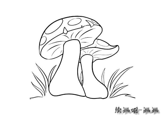 蘑菇简笔画图片