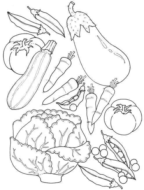 蔬菜简笔画图片大全