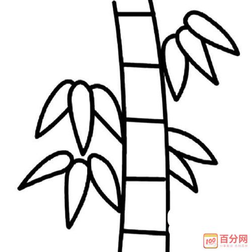 竹子怎么画简笔画