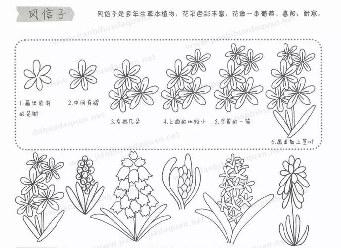 简笔画教程儿童植物简笔画大全上