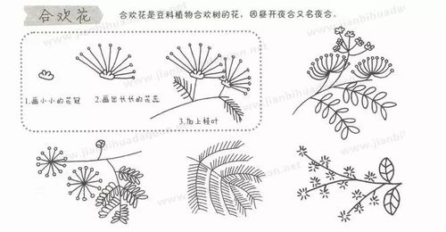 简笔画教程儿童植物简笔画大全上