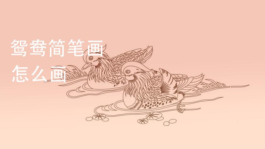 鸳鸯简笔画怎么画