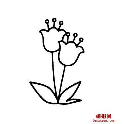 植物简笔画全大图唯美