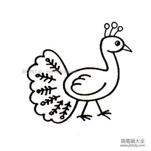 可爱的孔雀简笔画大图