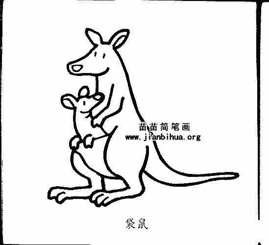 袋鼠简笔画图片大全资料