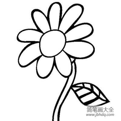 儿童简笔画画花花怎么画简笔画