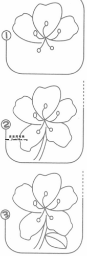 杜鹃花简笔画图片大全