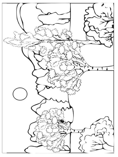 秋天风景简笔画