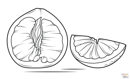 柚子简笔画图片