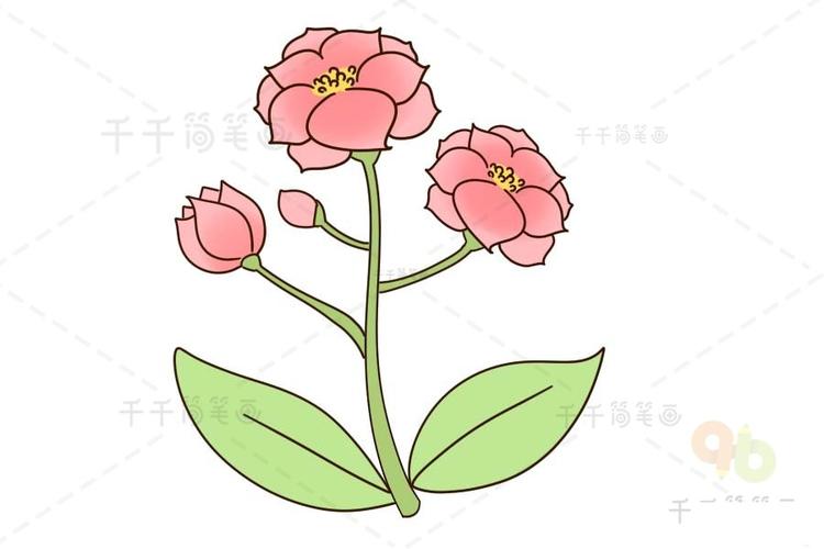 夹竹桃花朵简笔画