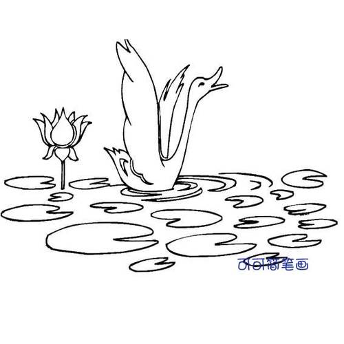 荷塘简笔画荷塘简笔画图片彩铅画