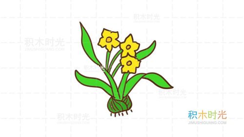 水仙花简笔画教程画水仙花简笔画积木时光简笔画