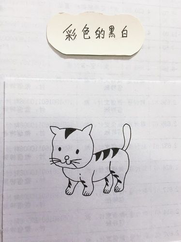 精 简笔画准备去捉老鼠的小花猫