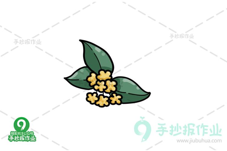 桂花简笔画