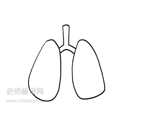 肺炎简笔画图片 肺炎怎么画