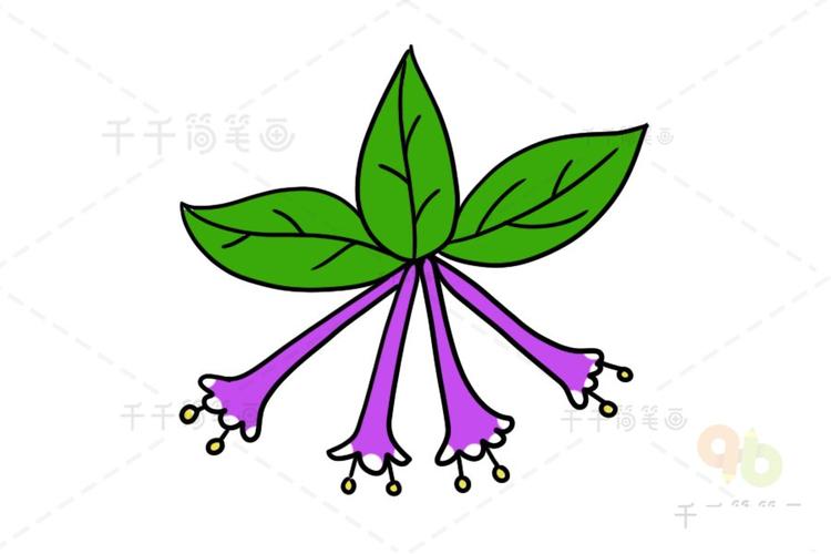 茉莉花简笔画教程