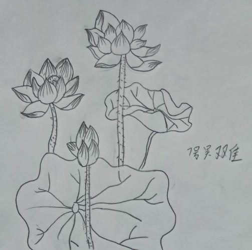 停课不停学线上美术课教学简笔画荷花