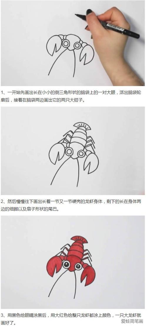 小龙虾怎么画虾-简笔画大全