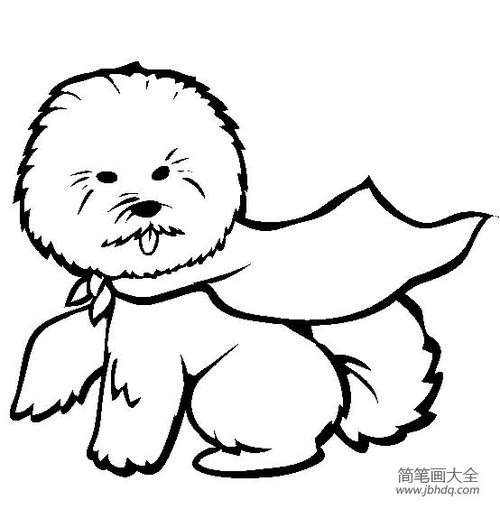 小狗图片大全卷毛比雄犬简笔画