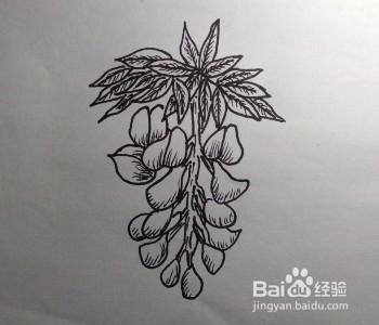 卡通紫藤萝简笔画