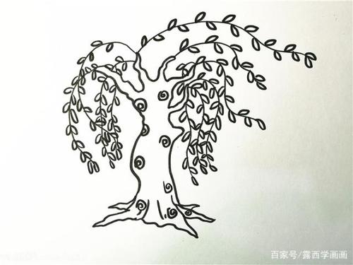 植物简笔画柳树简笔画怎么画教你几种不同的柳树画法