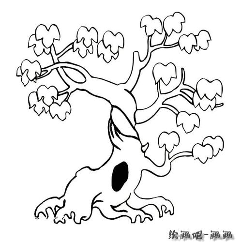 景观树植物简笔画步骤图片大全