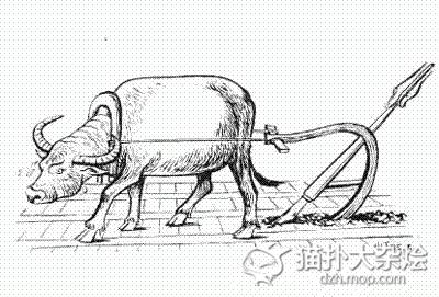 牛虻的简笔画