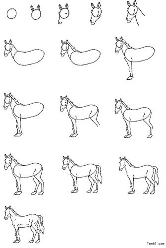 马-简笔画图片-儿童资源网手机版