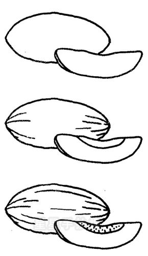 星星报 简笔画 水果蔬菜简笔画  正文内容哈密瓜是甜瓜的一大类