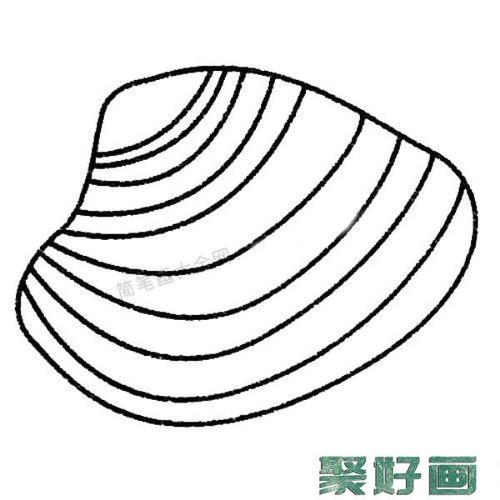 9种贝壳简笔画图片怎么画简笔画教程