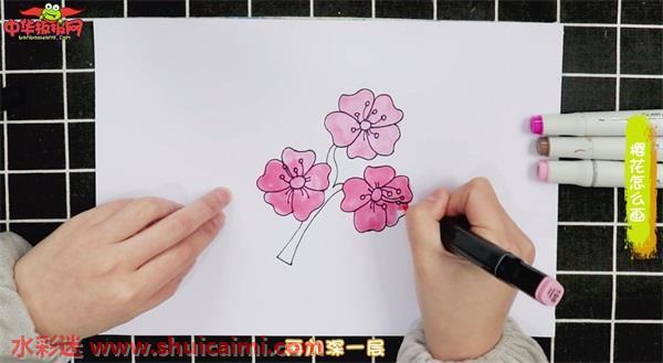 樱花怎么画樱花简笔画简单好看带颜色