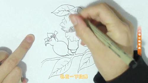 石榴花简笔画