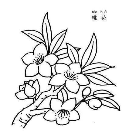 儿童画桃花树的简笔画法图片