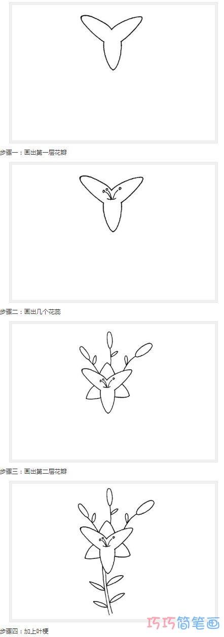 画花的简笔画漂亮简单步骤