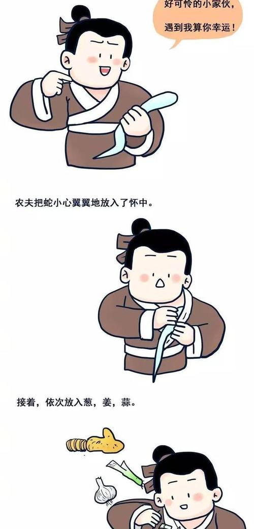 农夫与蛇连环画简笔画