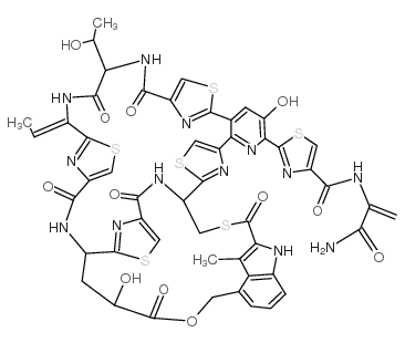 11sui简笔画