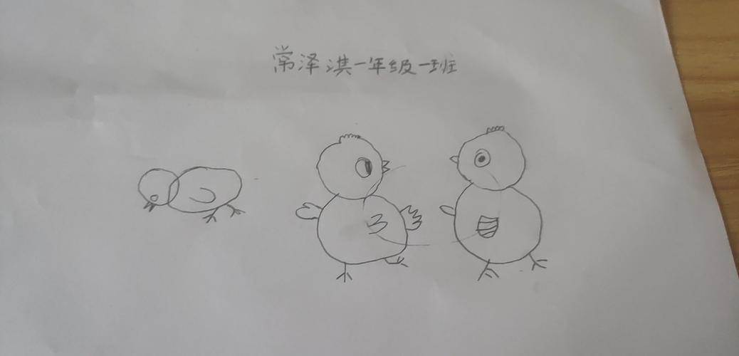 快乐的小鸡张村小学一年级 写美篇本节课我们学习简笔画画