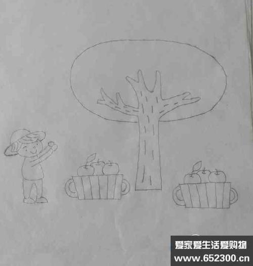 果园收获的简笔画