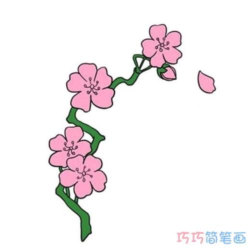 如何画樱花简单又漂亮涂颜色樱花简笔画图片